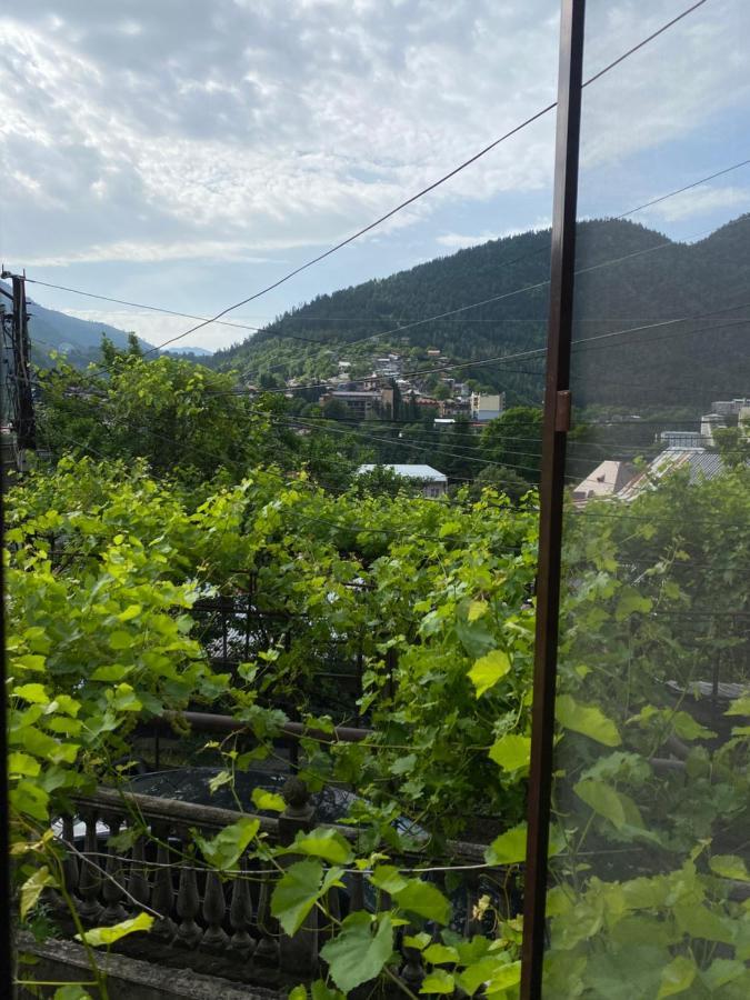 Shota'S Guest House Borjomi Exterior photo