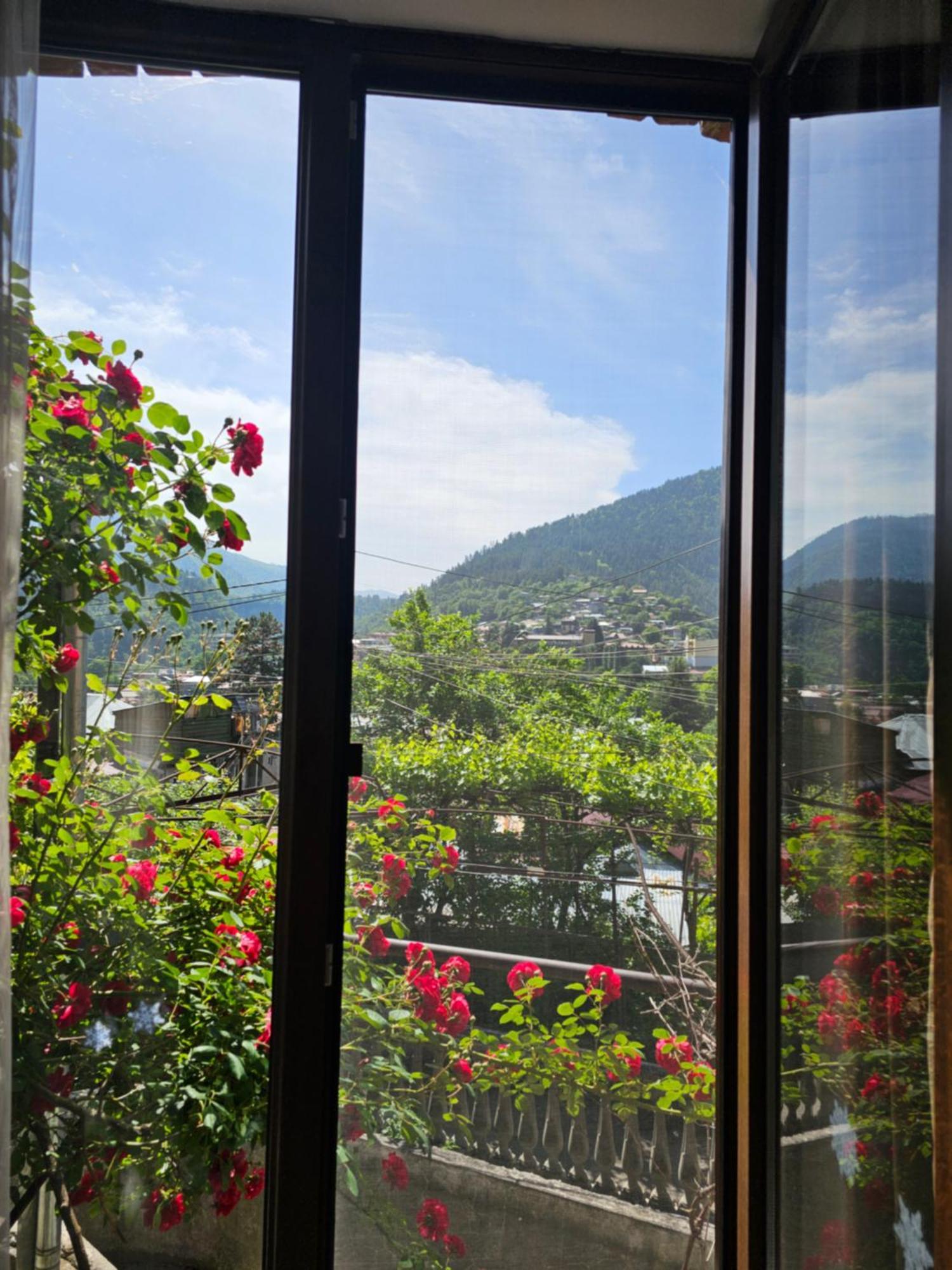 Shota'S Guest House Borjomi Exterior photo