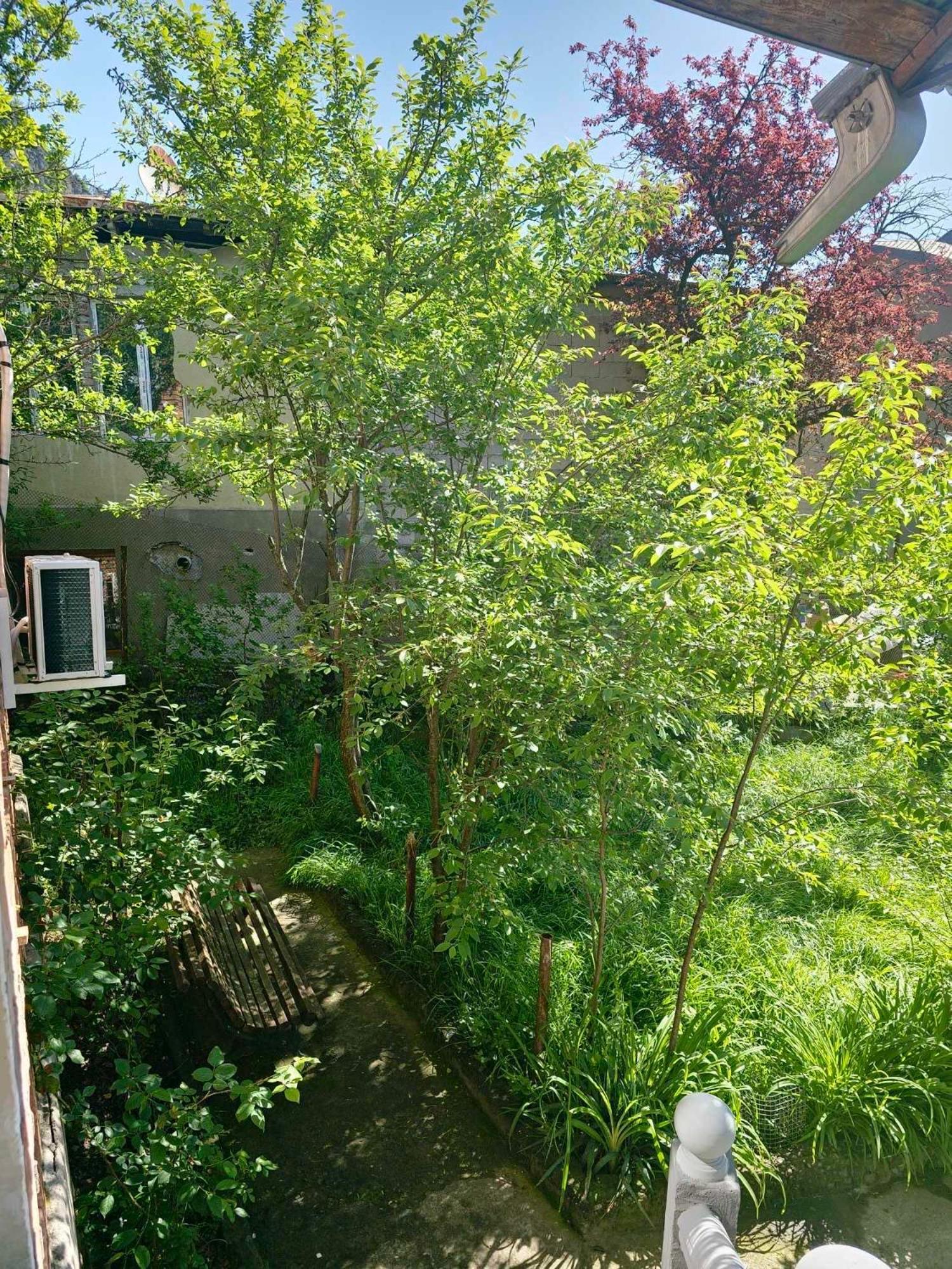 Shota'S Guest House Borjomi Exterior photo