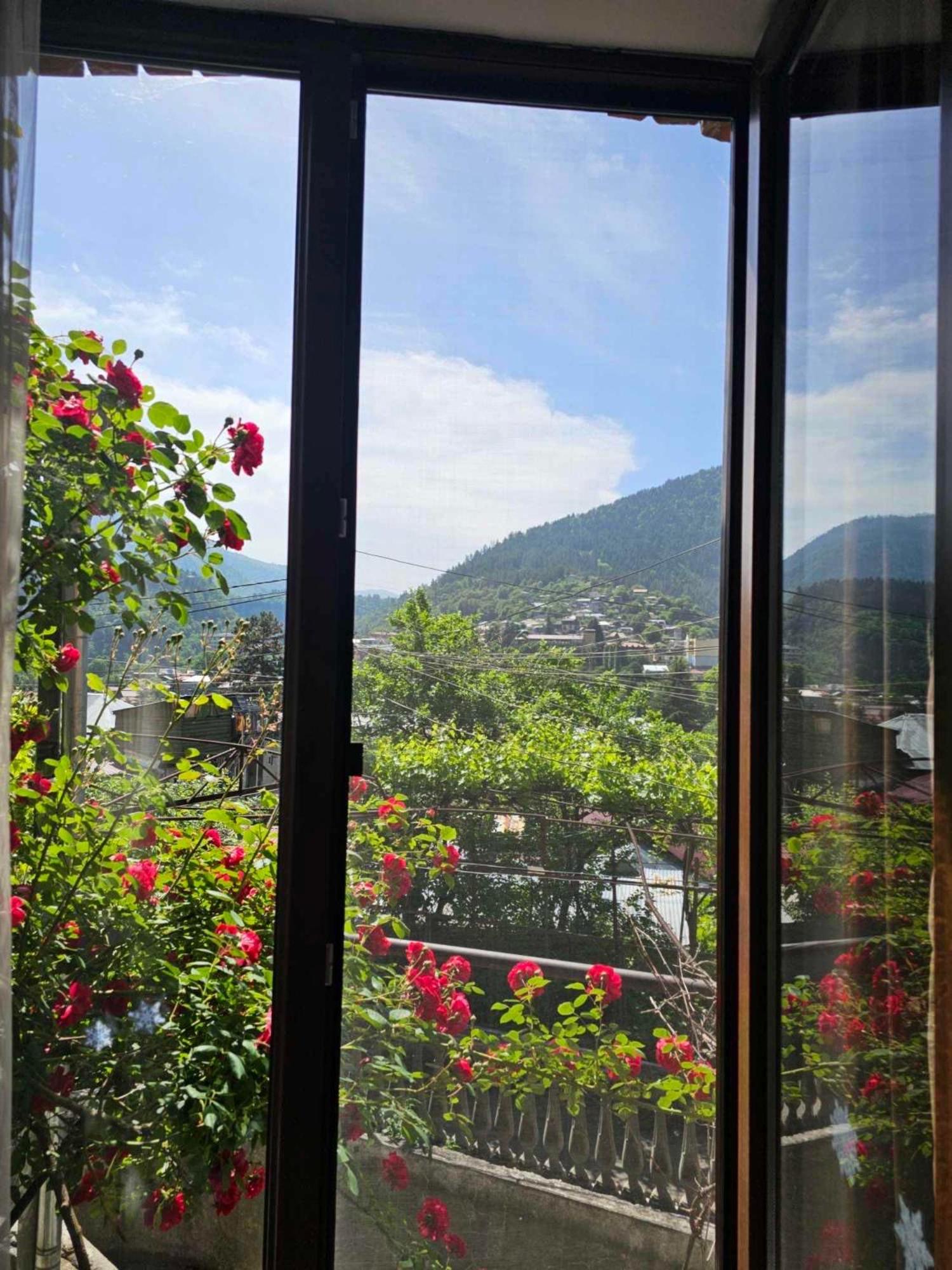 Shota'S Guest House Borjomi Exterior photo