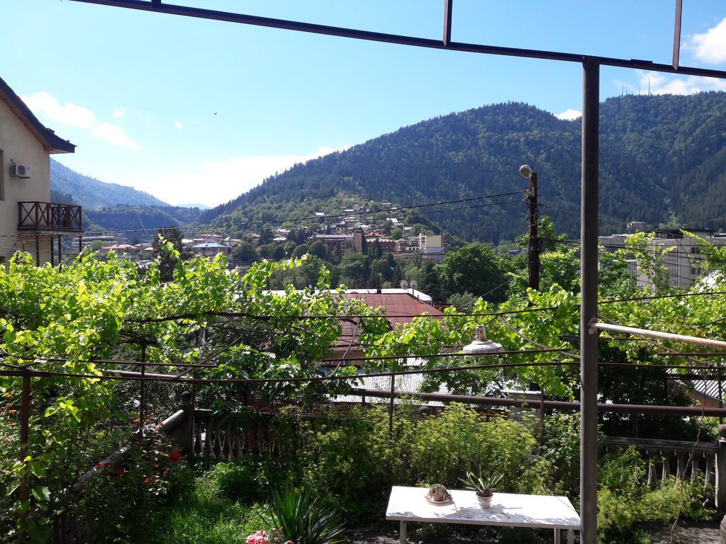 Shota'S Guest House Borjomi Exterior photo